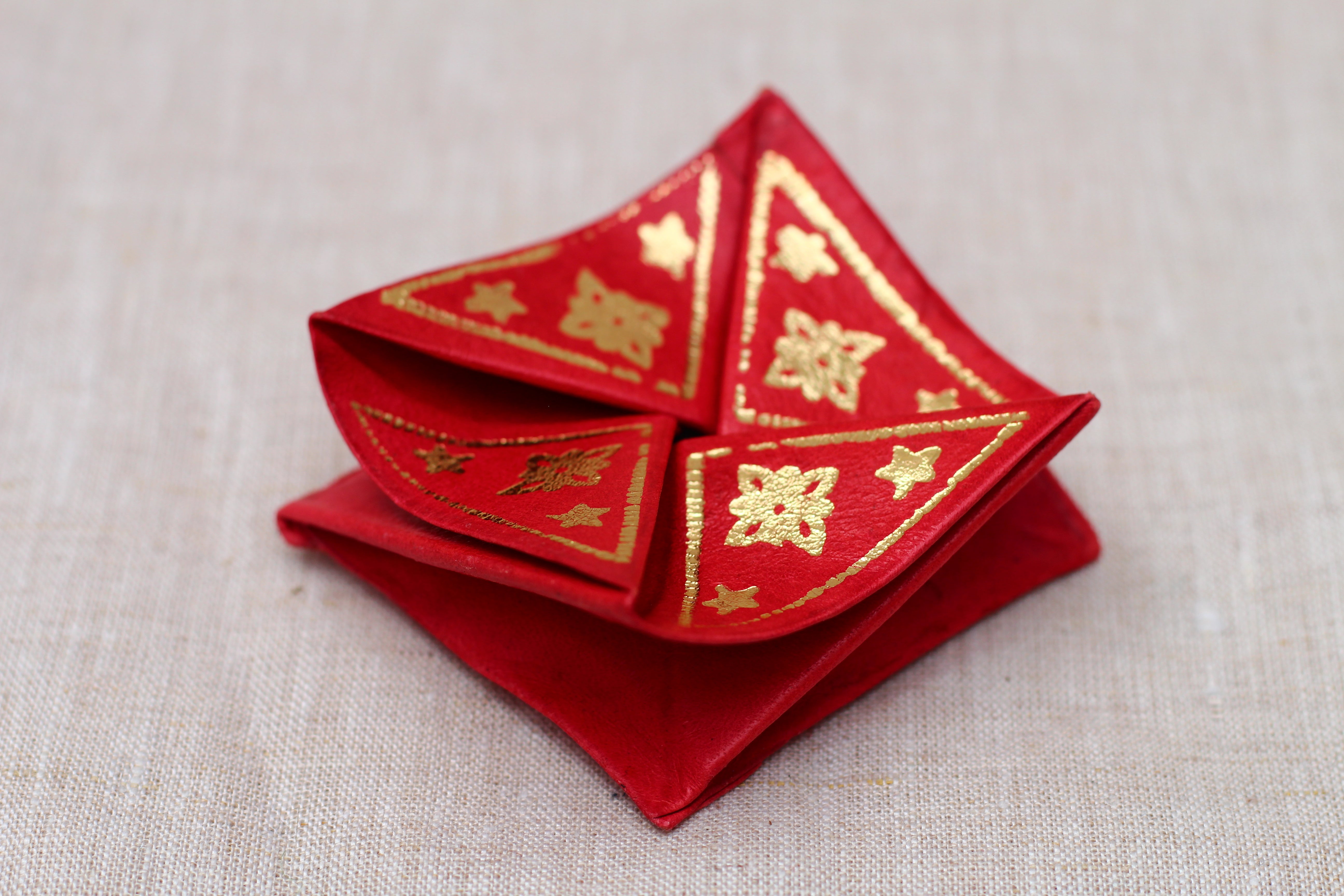 Money Pouch