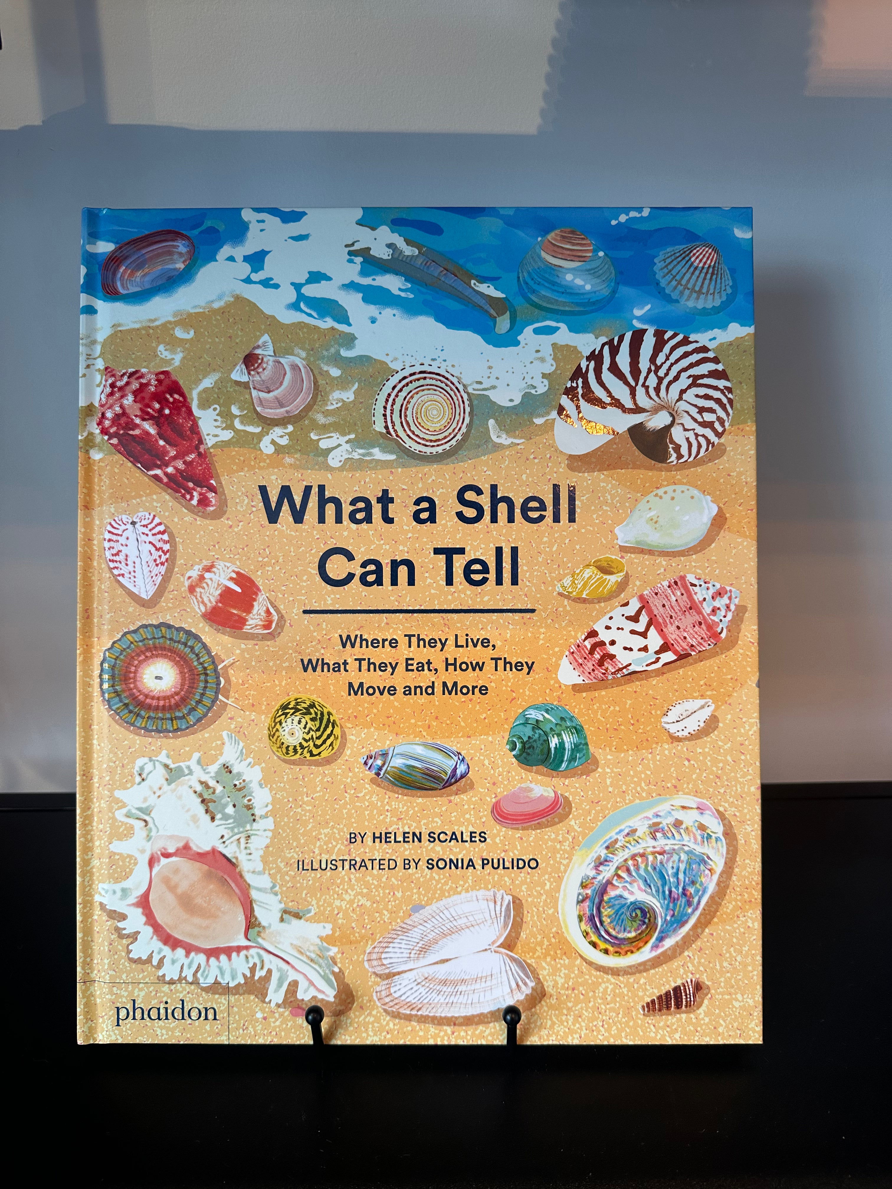 What A Shell Can Tell Book