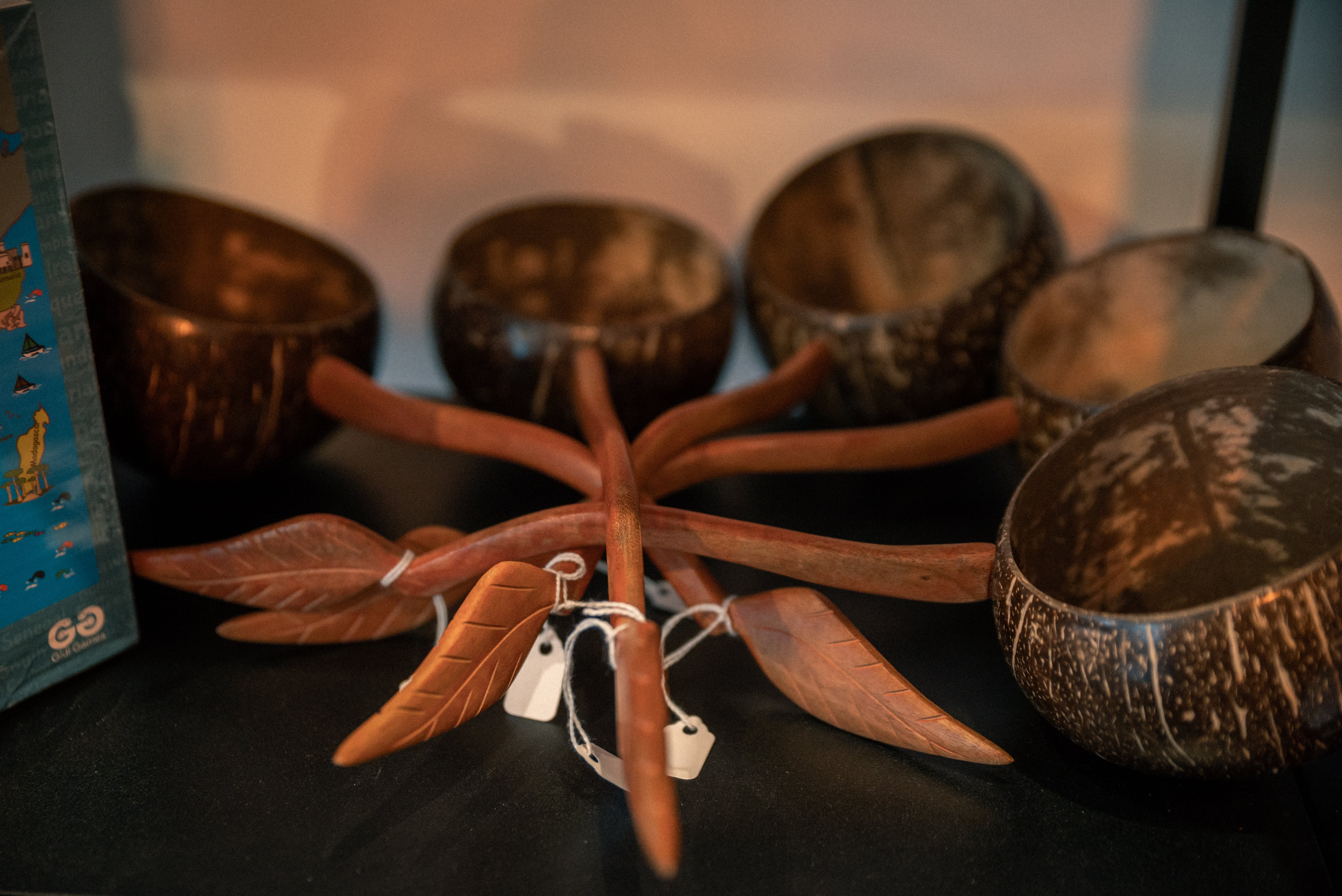 Coconut Shell Ladle