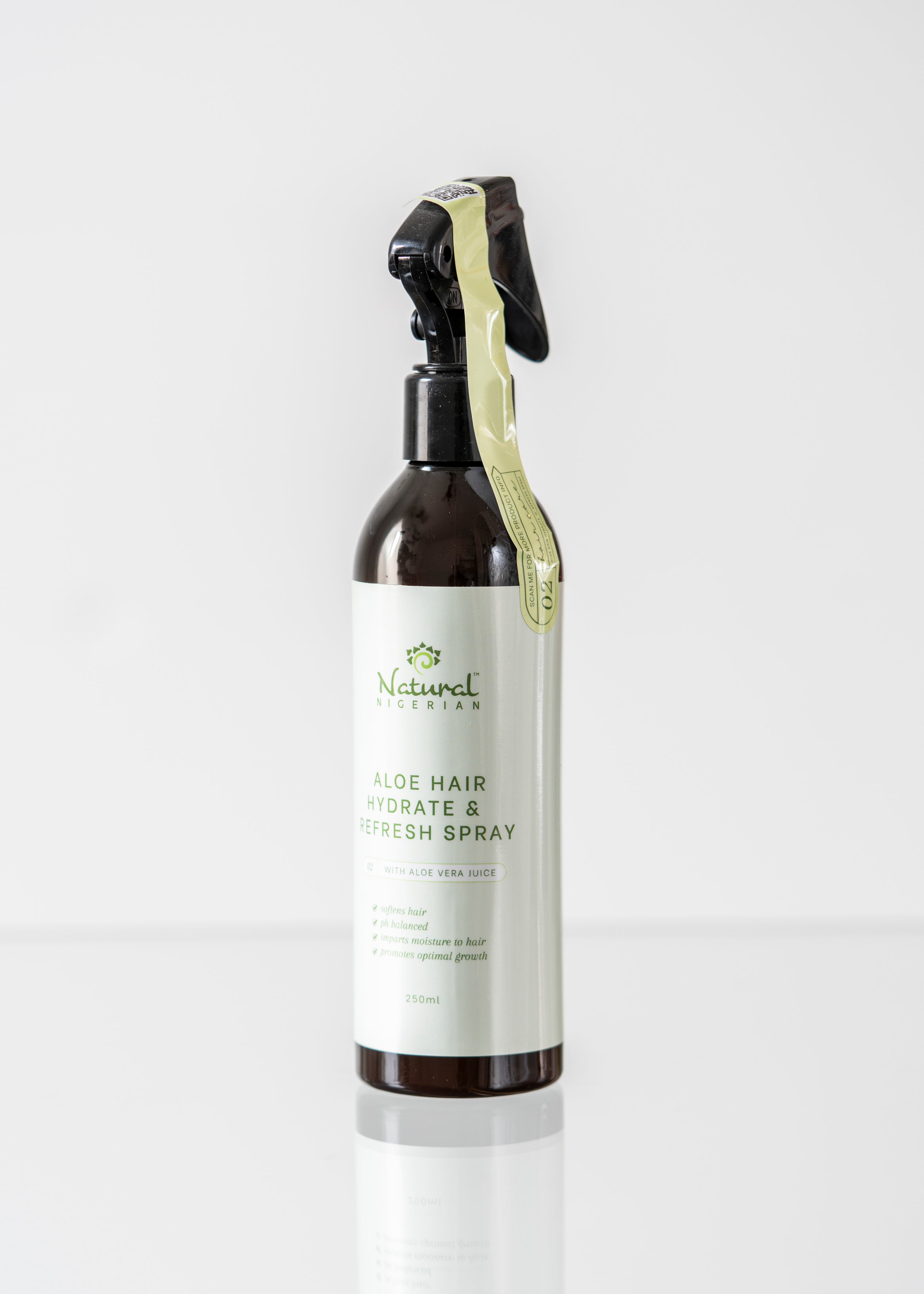 Aloe Vera Hair Mist / Spray