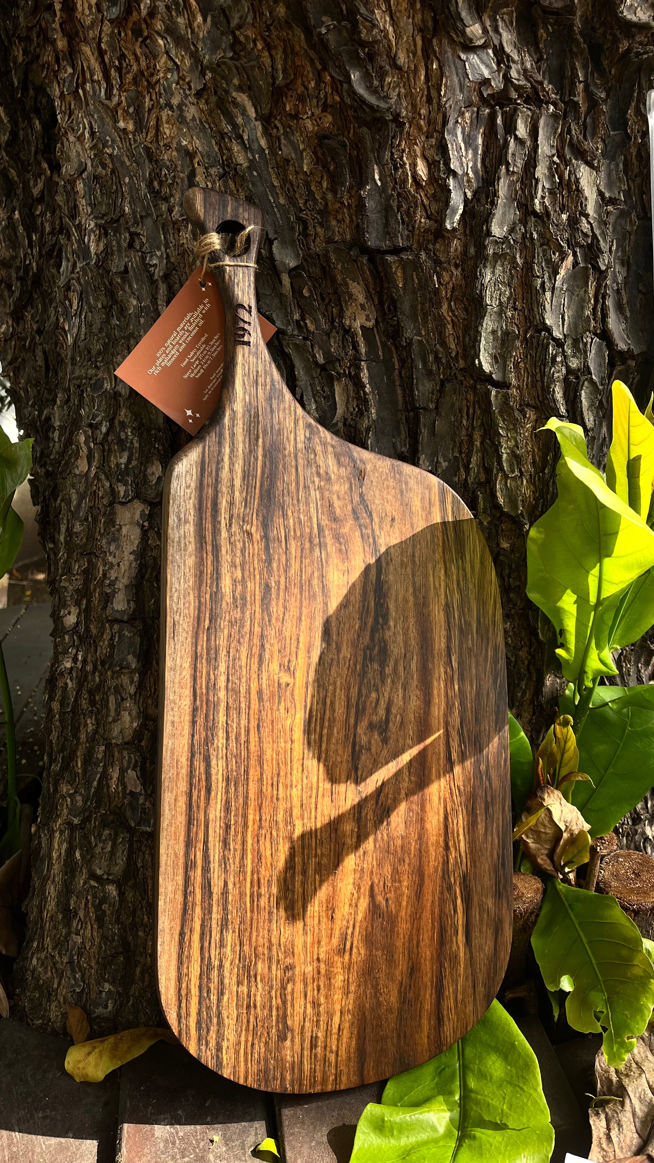 Root Board