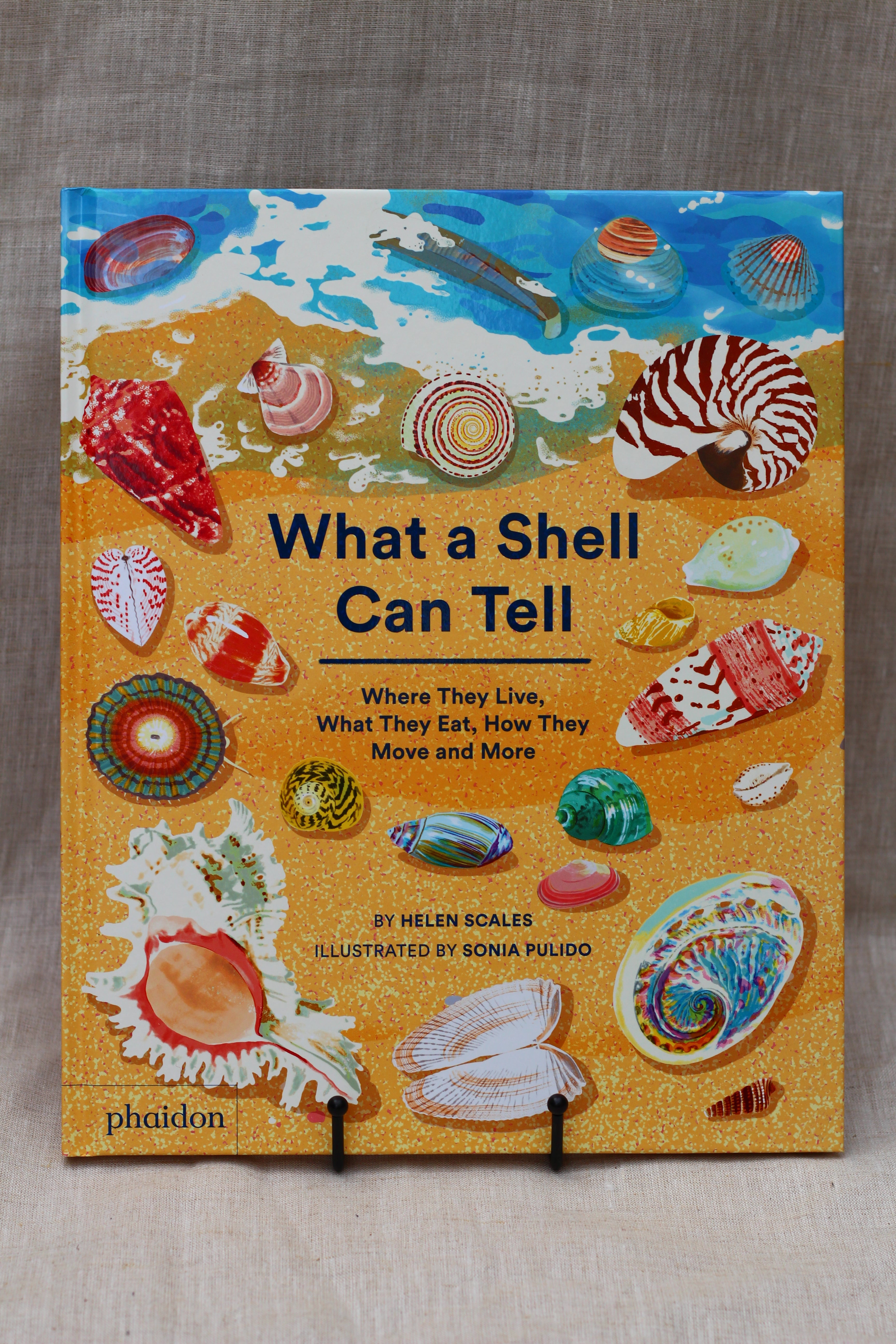 What A Shell Can Tell Book