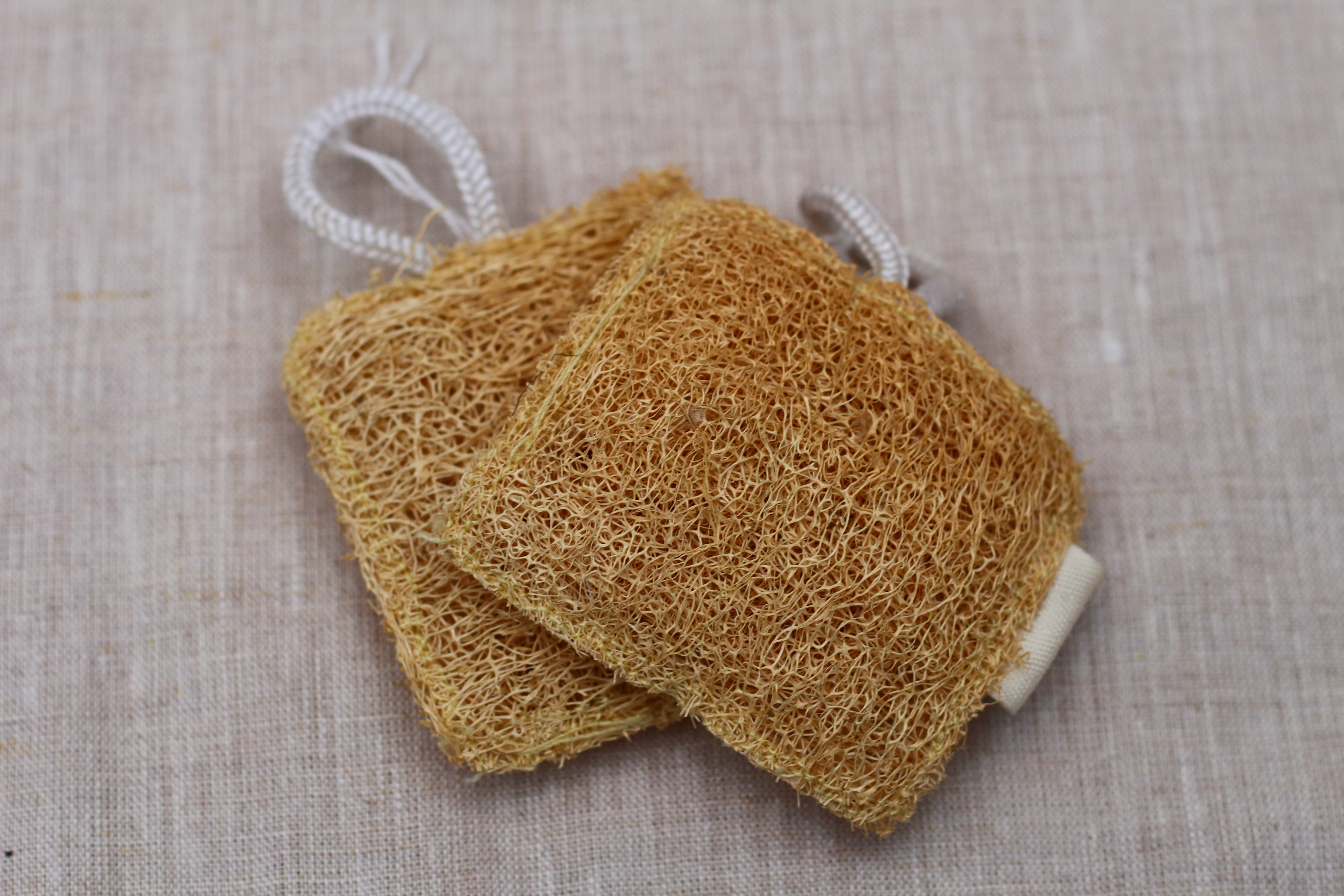 Loofa