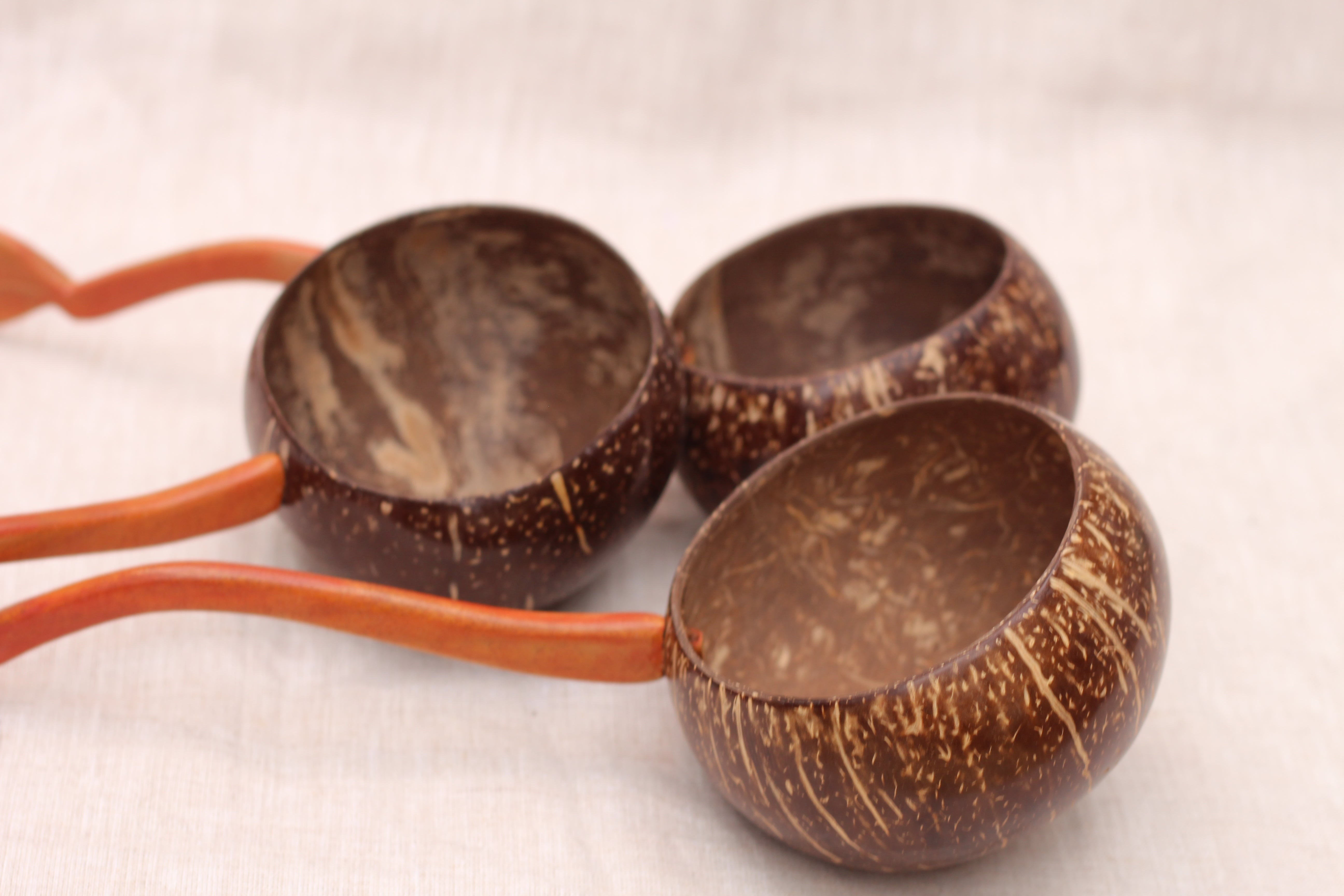 Coconut Shell Ladle